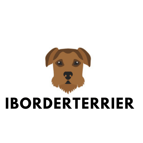should i wash my border terrier
