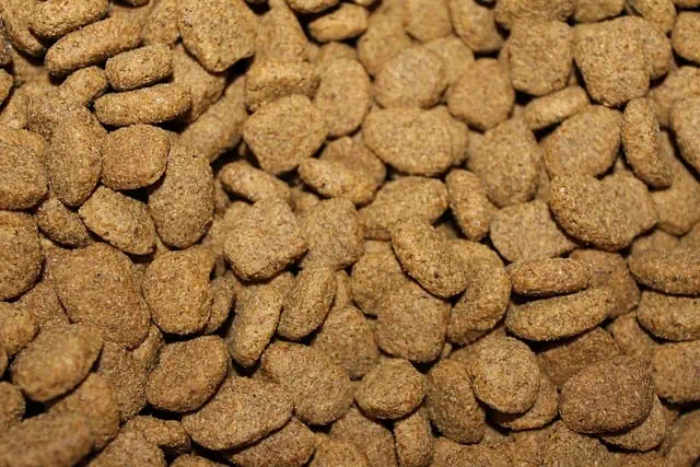 puppy food, dogs, pet