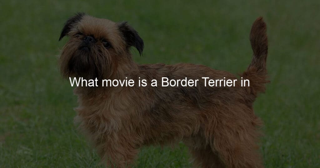 What movie is a Border Terrier in