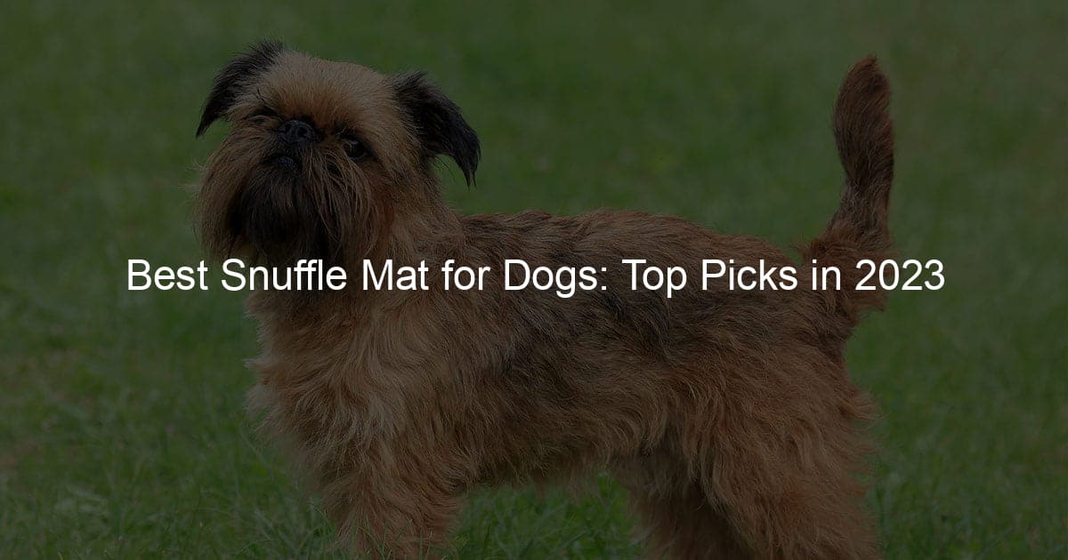 https://iborderterrier.com/wp-content/uploads/2023/06/best-snuffle-mat-for-dogs-top-picks-in-2023_4519.jpg